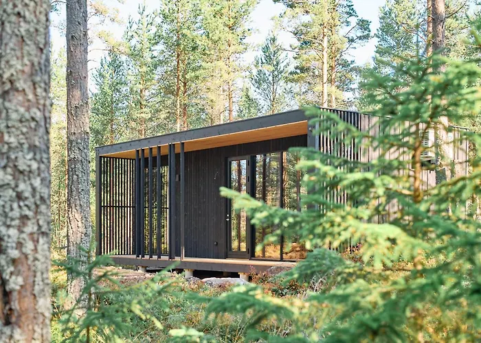 Coastal Forest Cabin In Sweden