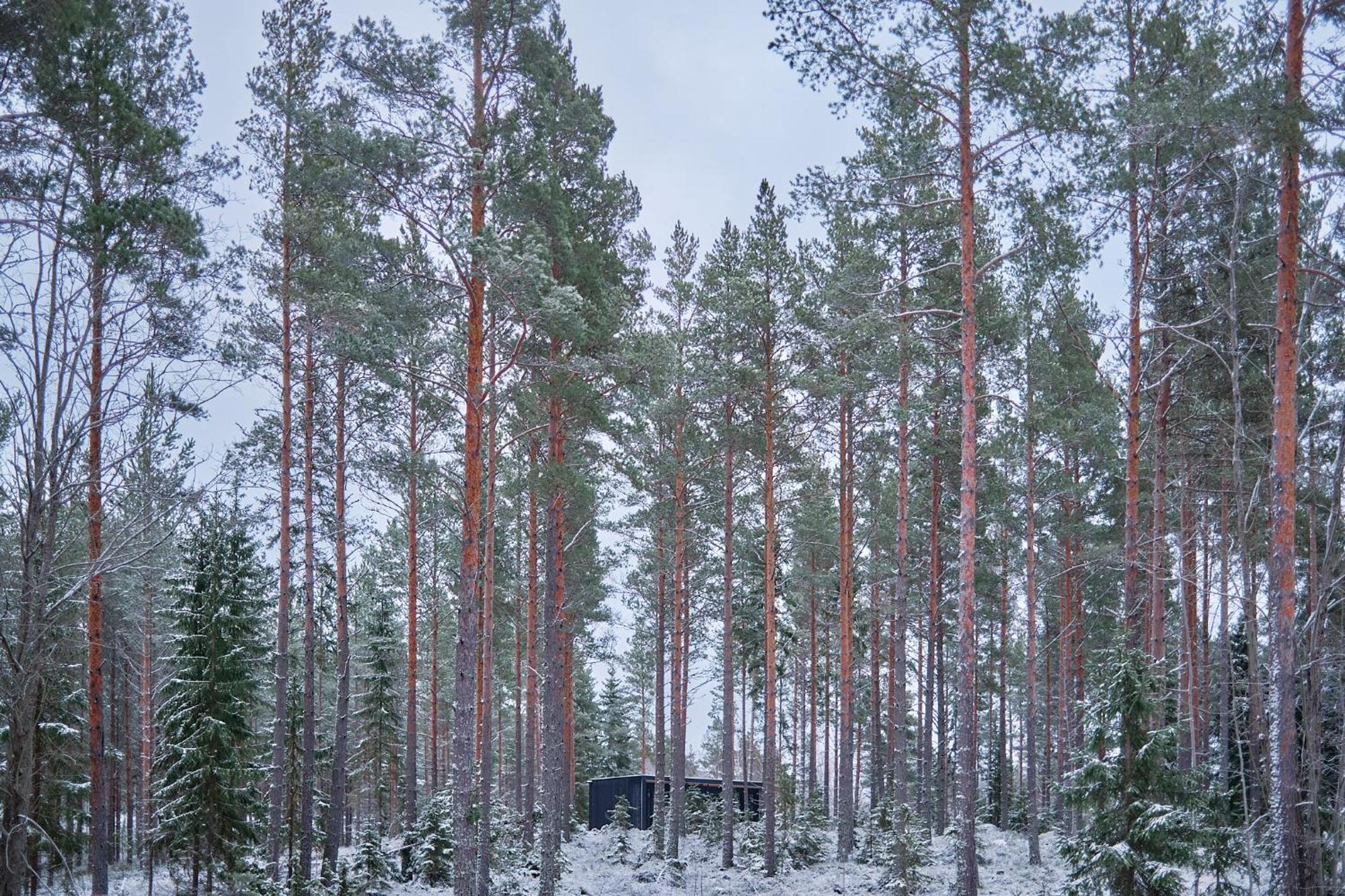 Casa vacanze Coastal Forest In Sweden *